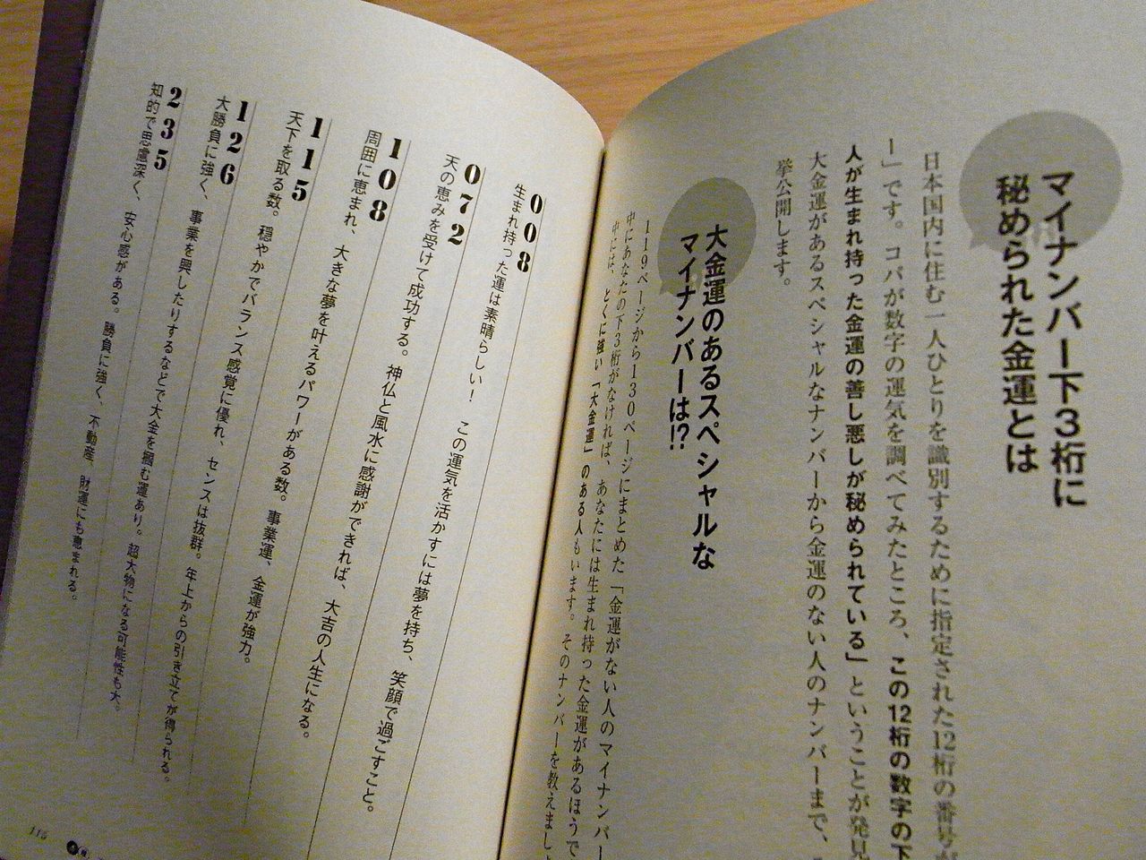 マイナンバーで占うdr コパの 数字風水 パンダroom2