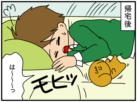 6人4