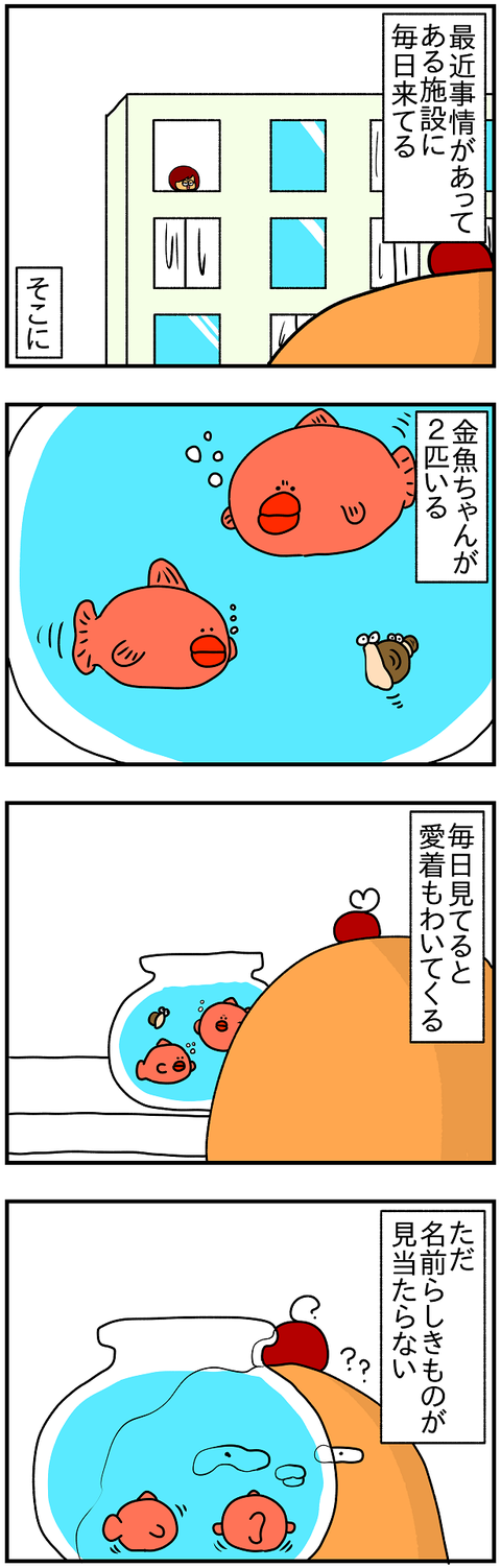 947.金魚1