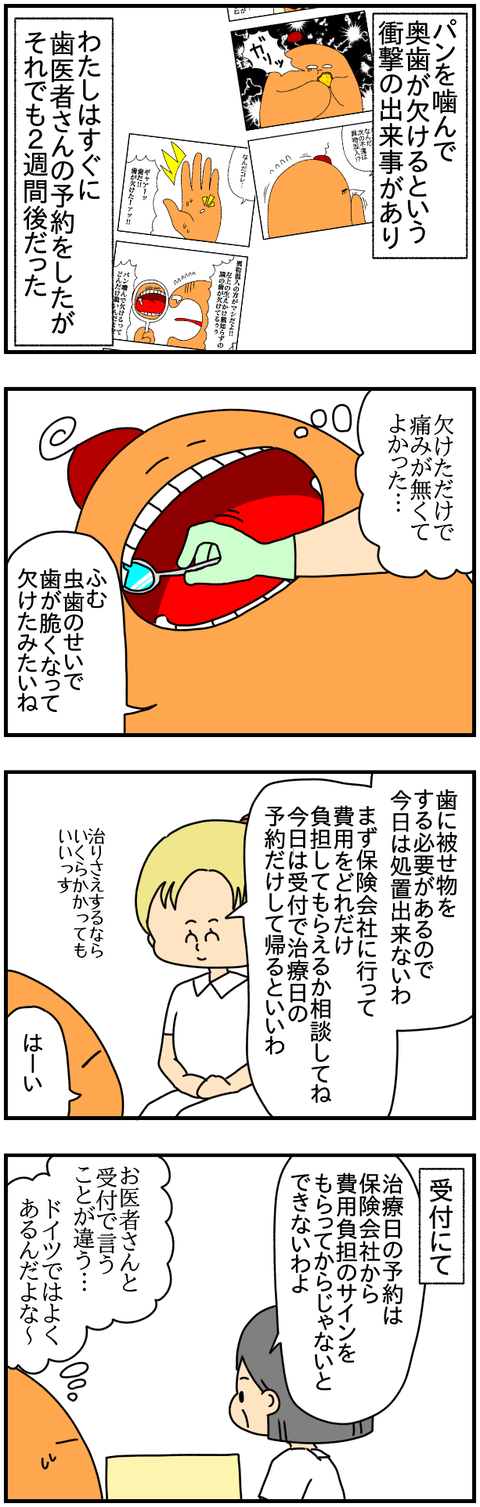歯①