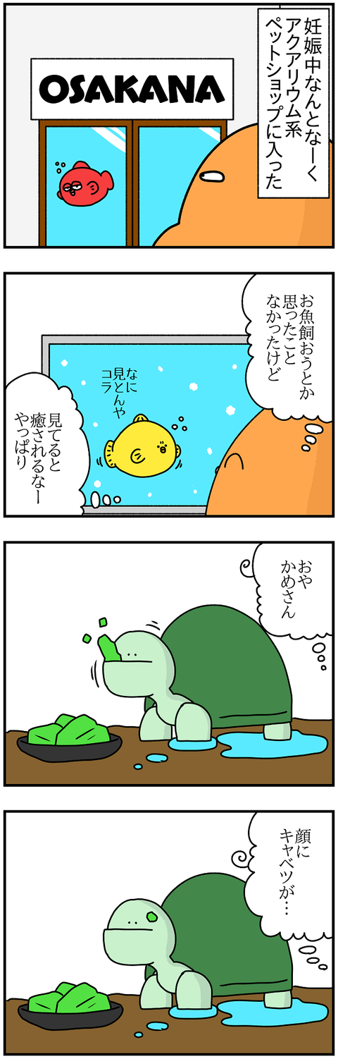 953.かめ1