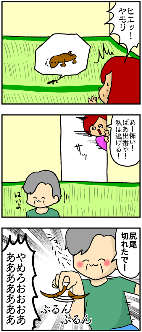 ヤモリ