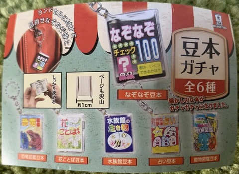 かちえ⑤