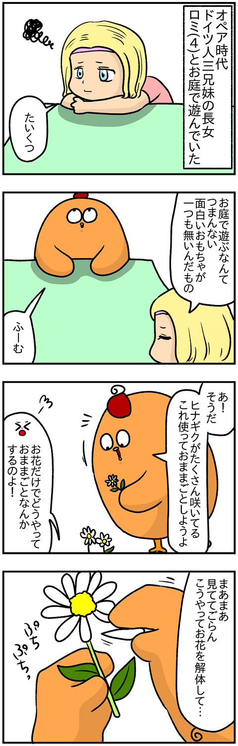 ヒナギク1