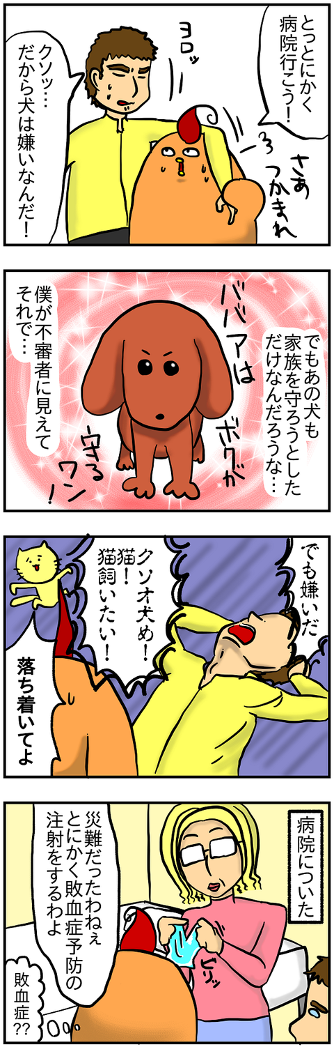 クリスと犬21