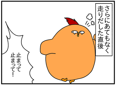 2163.ドイツに戻って㉒1