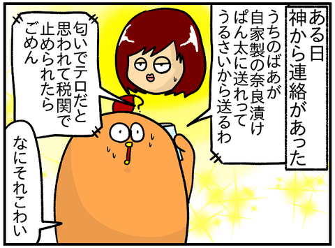 奈良漬け3