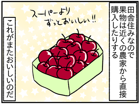 さくらんぼ1