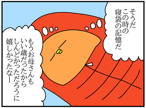 2289.寝袋33