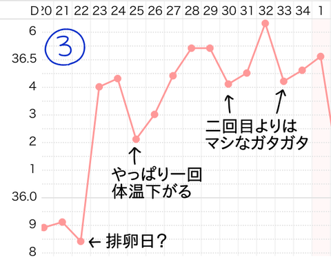 基礎体温③