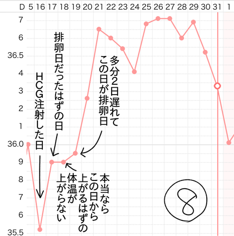 基礎体温 (1)