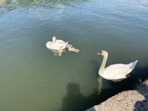 Foto 17.05.20, 15 39 50
