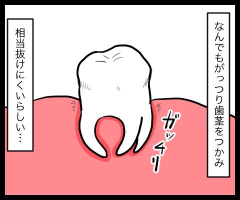 bb37b6f7