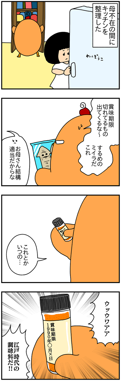 959おまけ.江戸時代