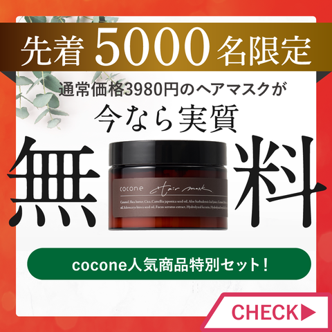LP_offer_231130_mask_pop
