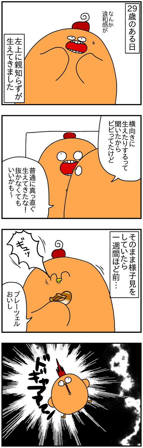 994.親知らず1