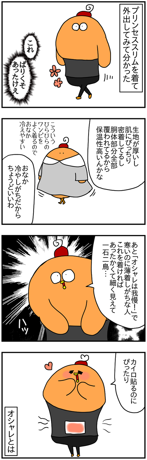 2132おまけ.カイロ