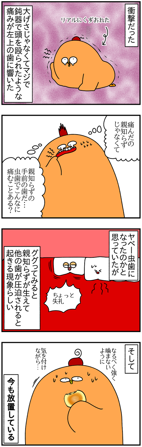 994.親知らず2