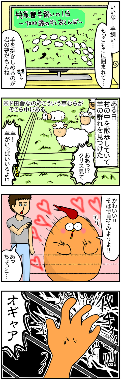 羊1