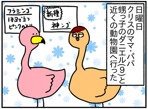 フラミンゴ3