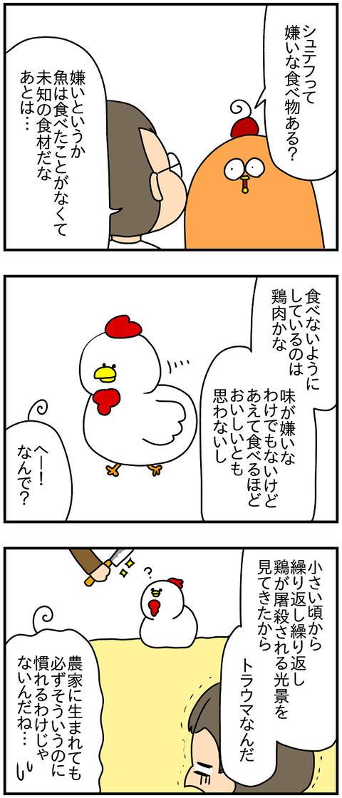 2240おまけ.鶏肉