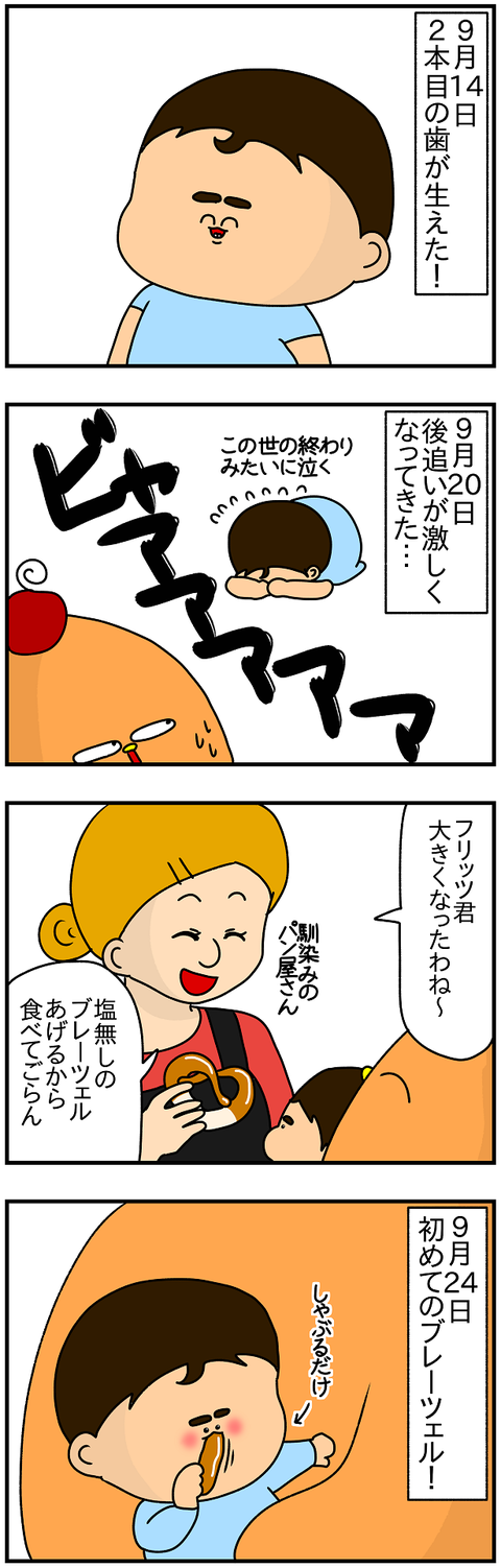 612おまけ.フリッツ君成長記⑦1