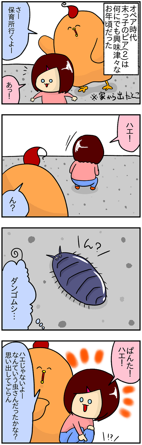 ダンゴムシ1