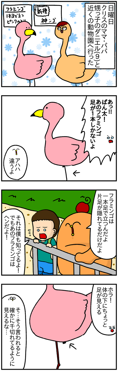 フラミンゴ1