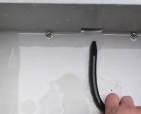 うなぎを捌く機械