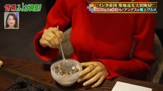 野口絵子のニットおっぱい