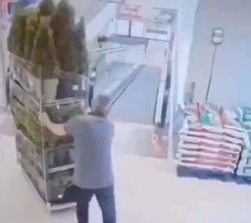 植木が乗った台車を押している男性