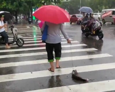 魚と散歩しているおばさん