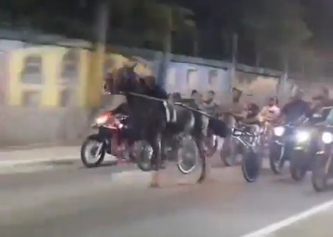 メキシコの暴走族