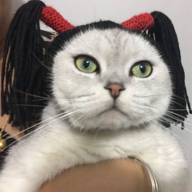 no title