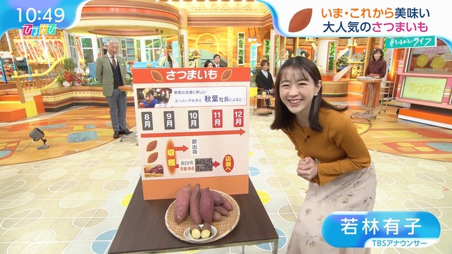 若林有子アナのおっぱい