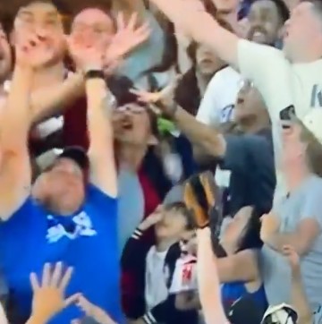 大谷翔平が打ったホームランボール