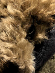 IMG_0015_1 (1)
