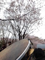 花より団子…よりも、ちょいと一杯…それより何よりパンデイロ?