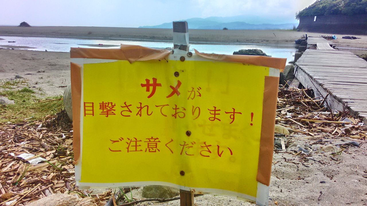 大岐の浜 宇宙人のblog