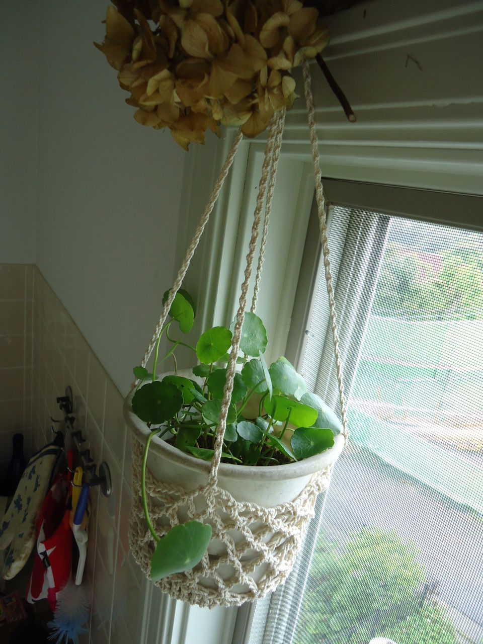 ハンギングネット Panderfulworld