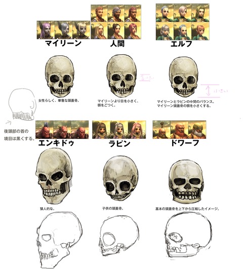 【PND】設定画_頭蓋骨ヘッド