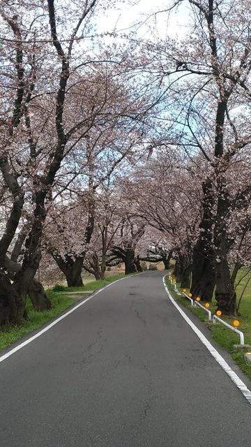 P_20190402_140500_vHDR_Auto
