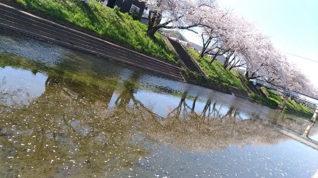 P_20190409_143121_vHDR_Auto