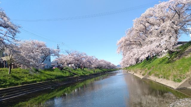 P_20190409_144017_vHDR_Auto