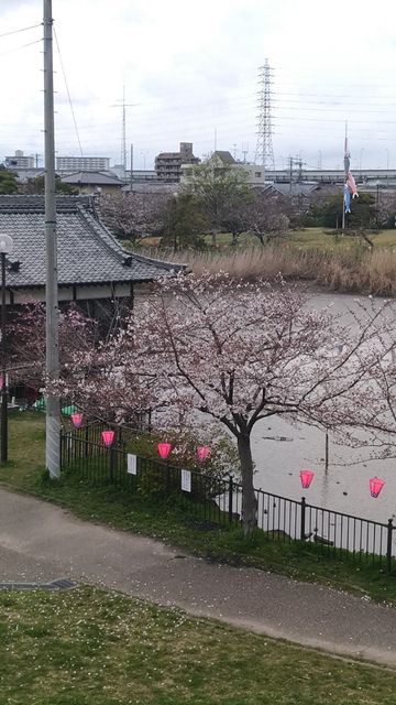 P_20190402_140535_vHDR_Auto
