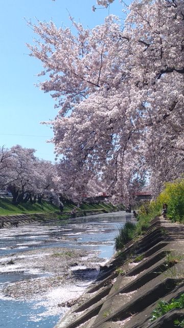 P_20190409_120751_vHDR_Auto