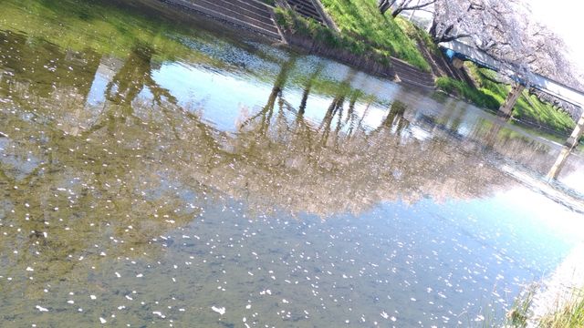 P_20190409_143046_vHDR_Auto