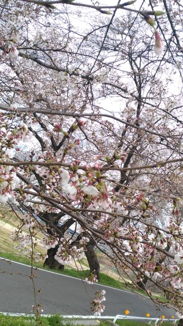 P_20190402_140637_vHDR_Auto