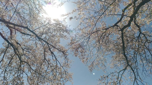 P_20190409_133420_vHDR_Auto