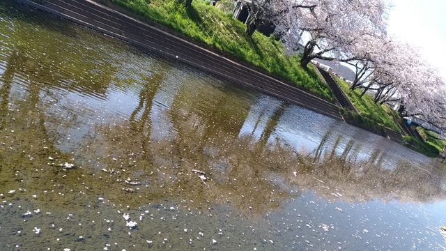 P_20190409_143205_vHDR_Auto